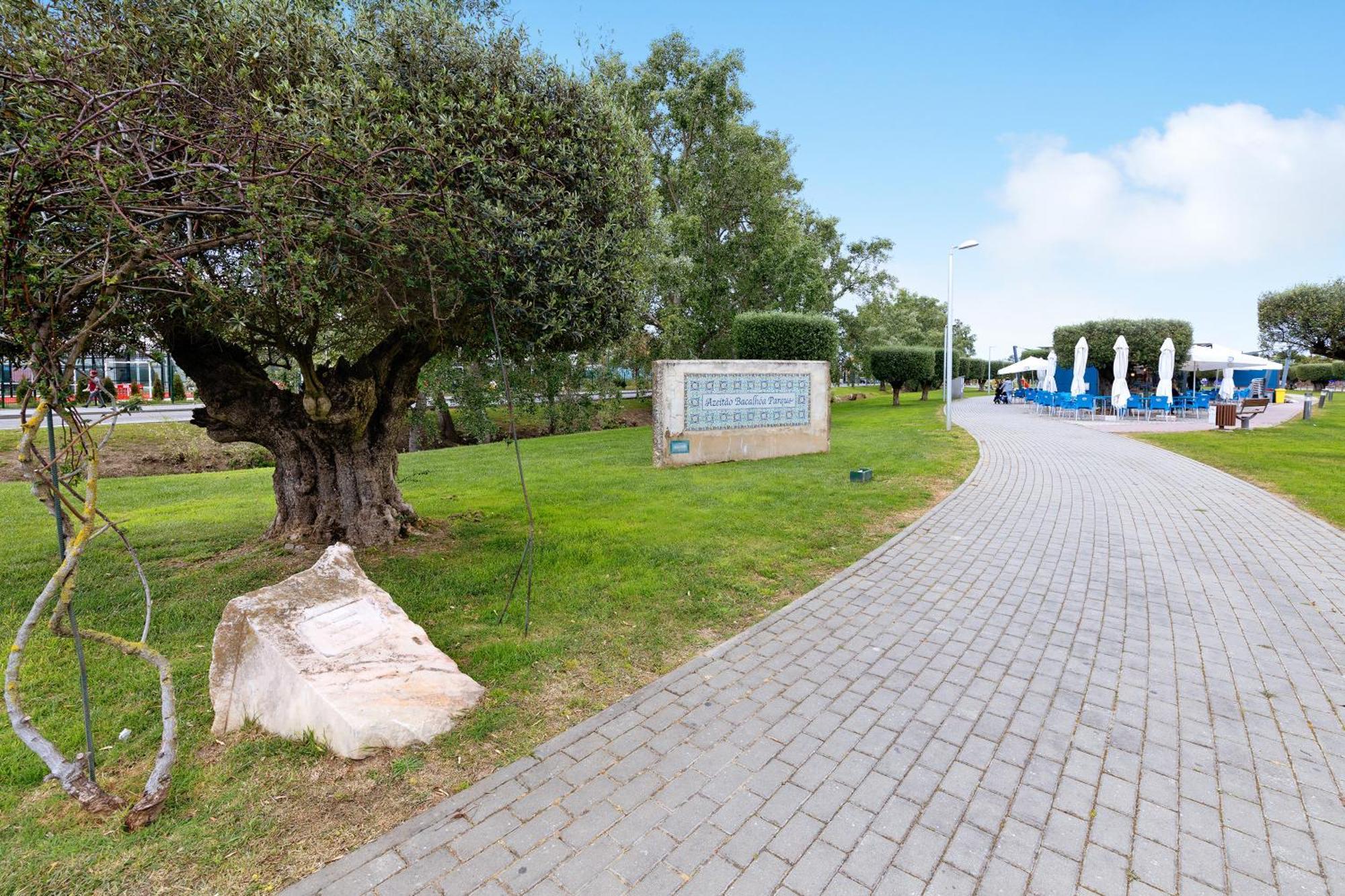 Little Paradise 25 Min From Lisbon Azeitao Bagian luar foto
